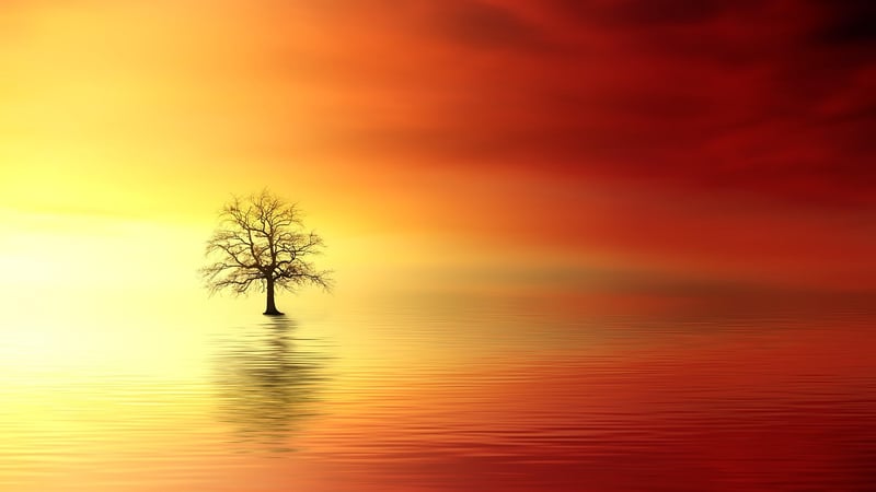 Harmony with Nature