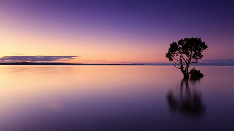 Sunset Qi Gong